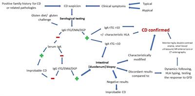 Celiac disease - a pluripathological model in pediatric practice